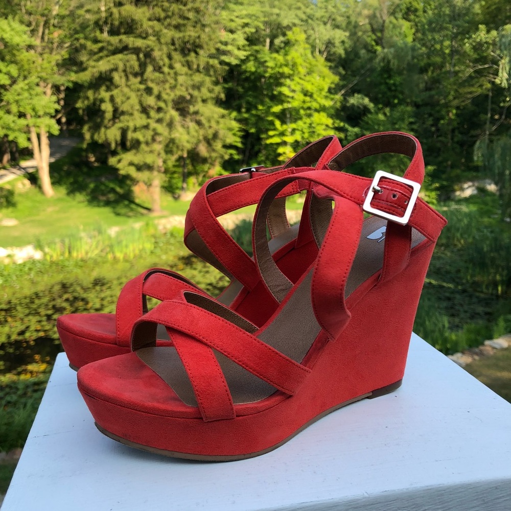 Orange BP wedges